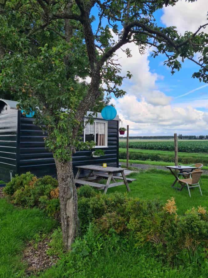 B&B Beemsterlust Westbeemster Экстерьер фото