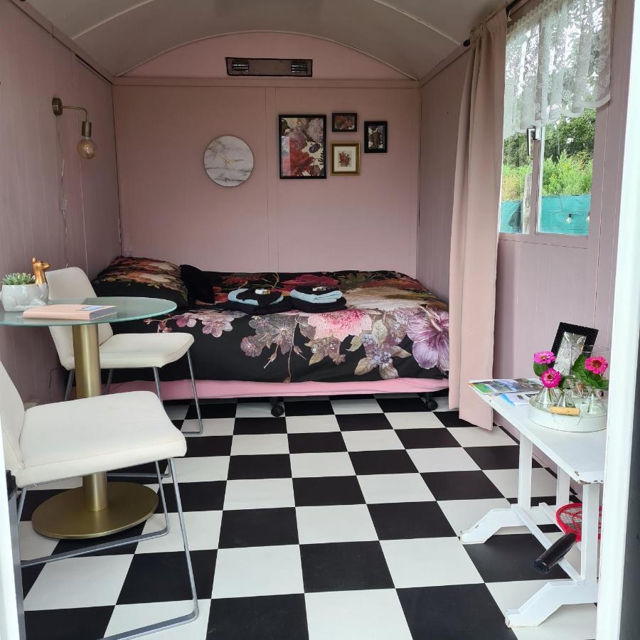 B&B Beemsterlust Westbeemster Экстерьер фото